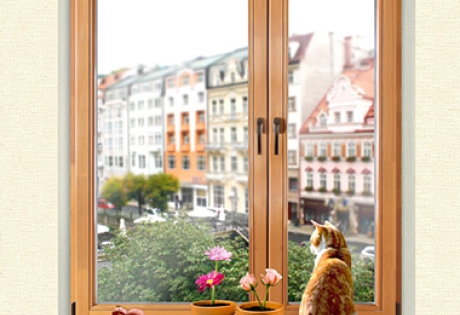 Разработка сайта для компании «Эко-дом сервис»